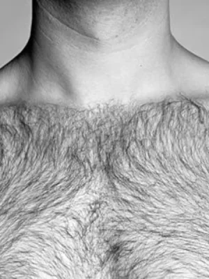 male-chest-hair-guide.webp.webp